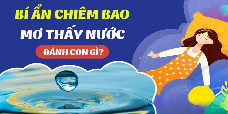 Những bộ số may mắn mà bạn nên thử khi mộng thấy nước