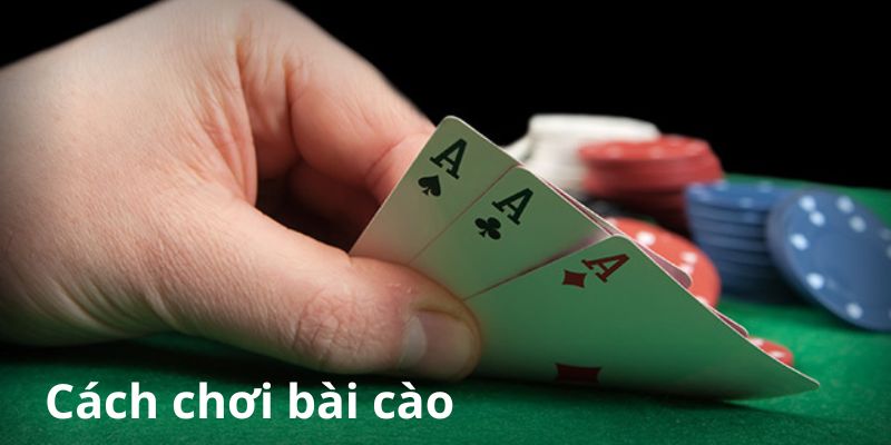 Tổng quan về cách chơi bài cào