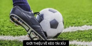 Thông tin về kèo tài xỉu