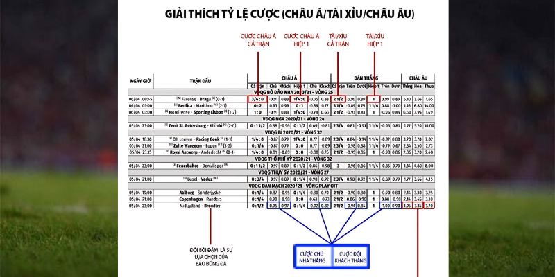 Hướng dẫn cách tính điểm, đọc bảng tỷ lệ 