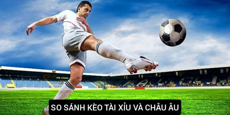 So sánh kèo châu Âu và tài xỉu